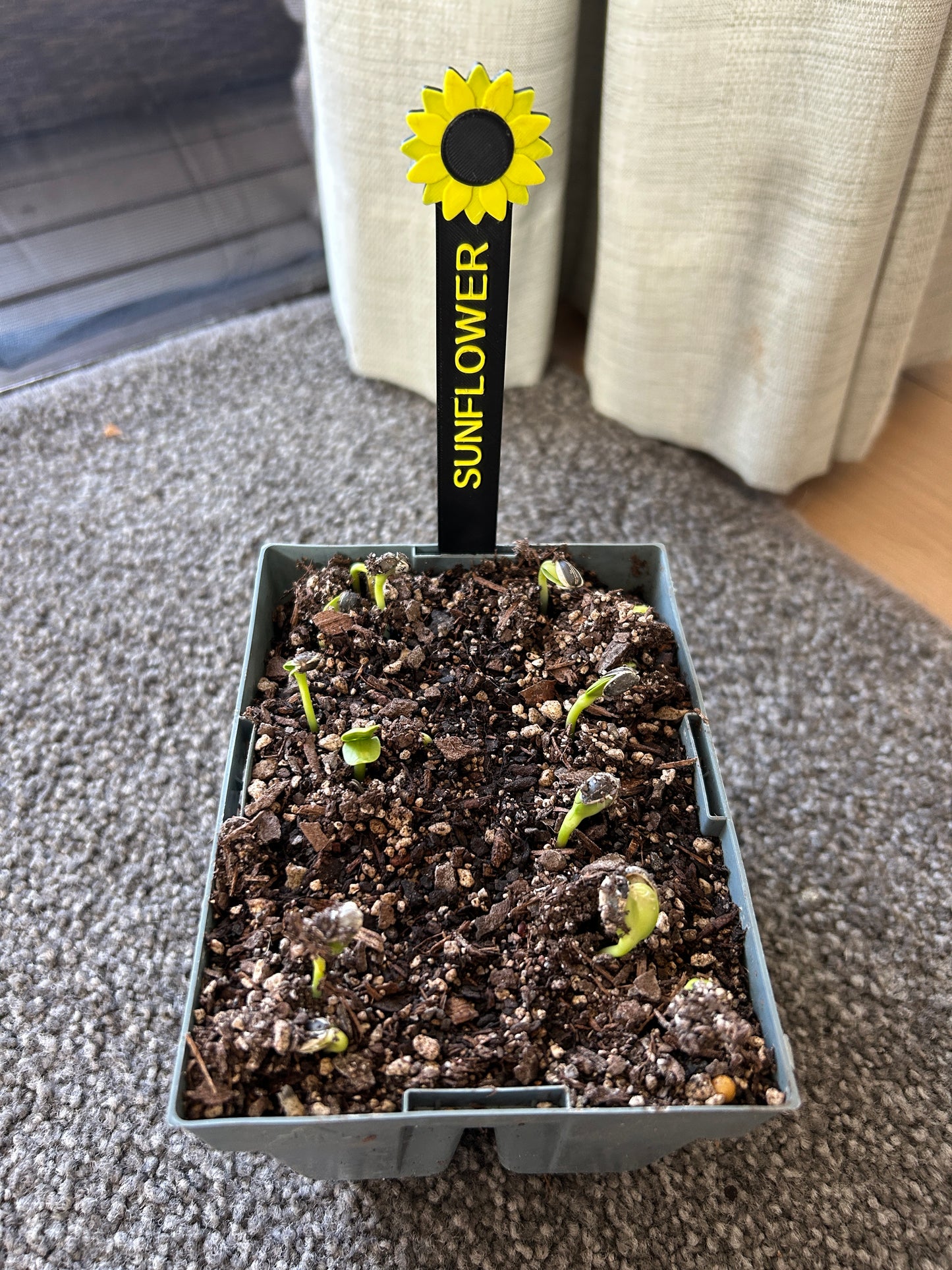 Seed and Plant Markers