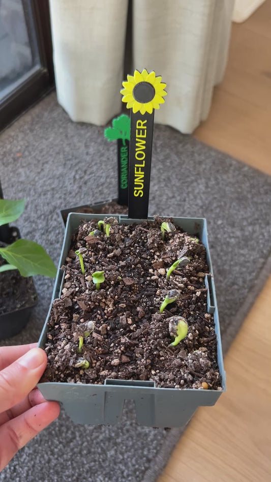 Seed and Plant Markers