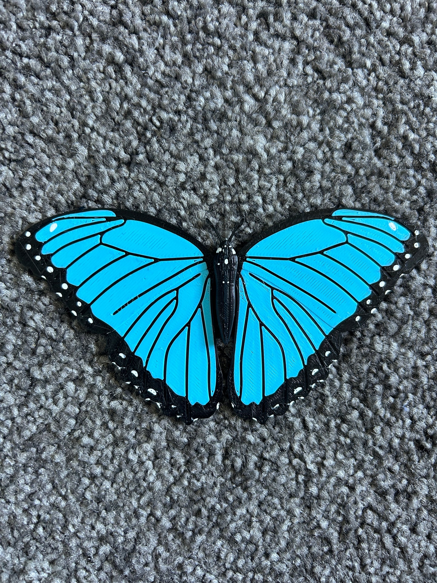 Butterfly Fridge Magnets